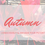 Website Slider _ Autumn